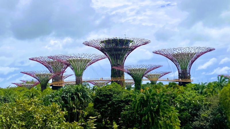 Supertrees Singapur